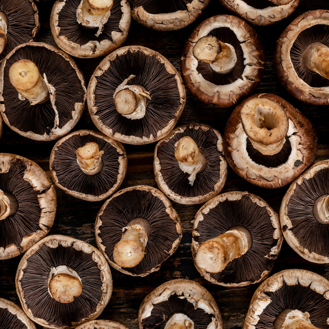 Mushrooms