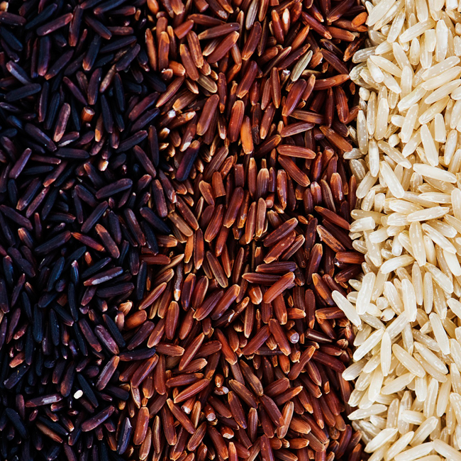 Wild-Rice