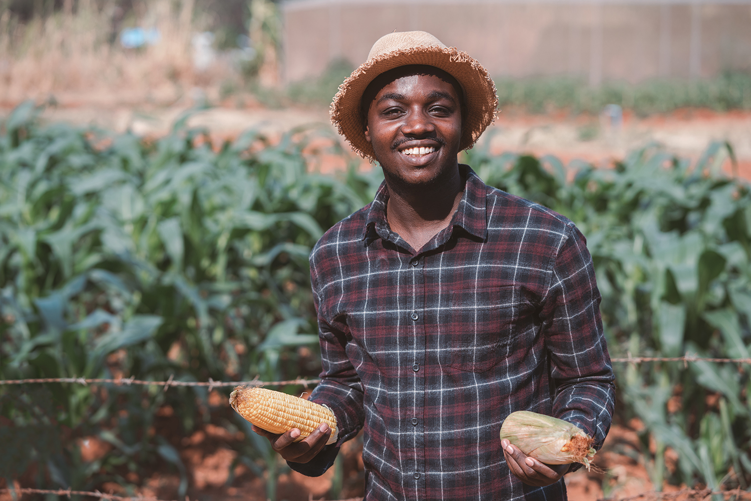 Protecting food security in Africa during COVID-19