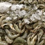 Fresh-King-Prawns