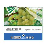 LEGEND™-250-SC